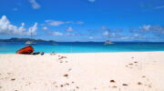 Aride Island Nature Reserve, Bootsausflug Boattrip Praslin, Seychellen